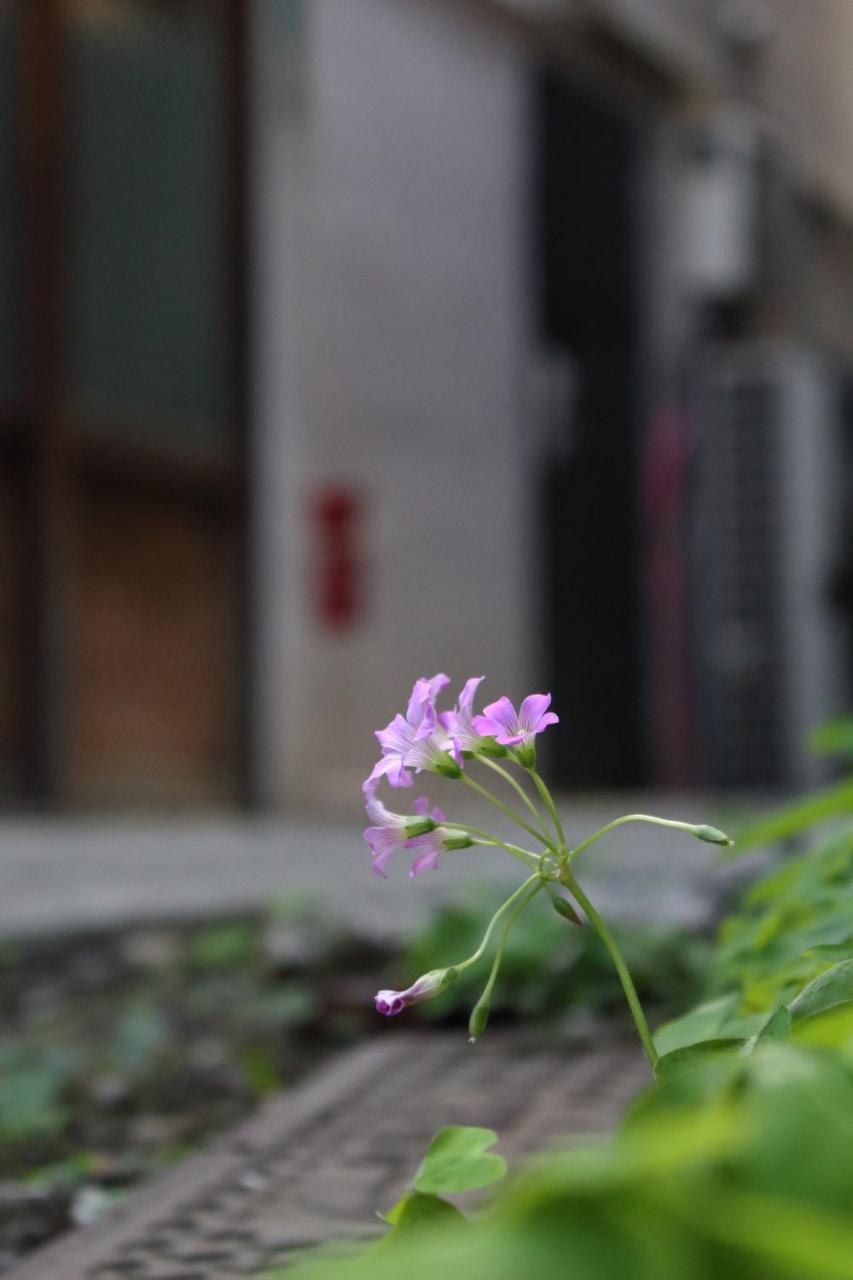 Chiyoda Inn Tokyo Ngoại thất bức ảnh